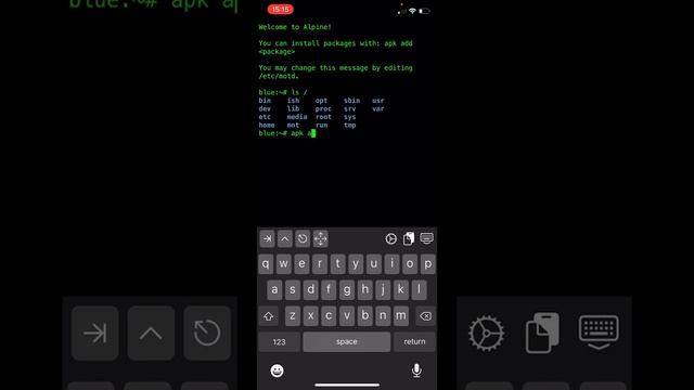 Run Linux on an iPhone смотреть онлайн
