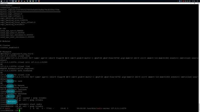 Установка Redis 6 в Rocky Linux 8.5 смотреть онлайн