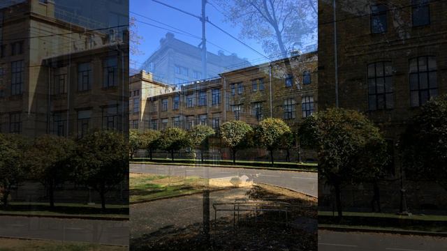 Елена Садовская — Ставрополь Казачий. Фотографии октябрь 2020 смотреть онлайн