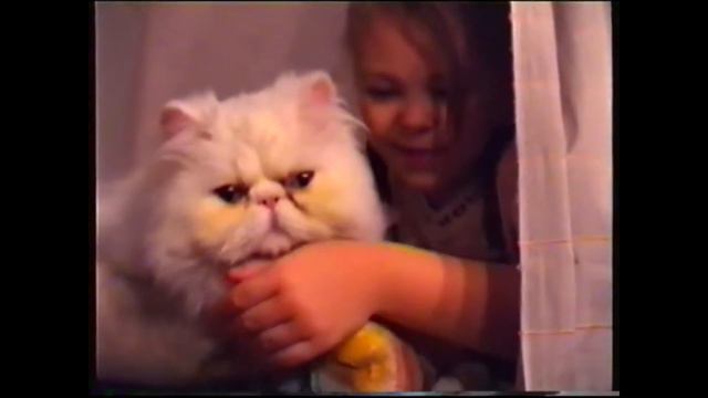 Видео поздравление смотреть онлайн