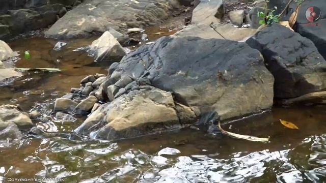 100 Most Beautiful Spanish Guitar Music / Cha Cha / Rumba /Tango /Mambo | Relaxing Guitar Music Eve смотреть онлайн