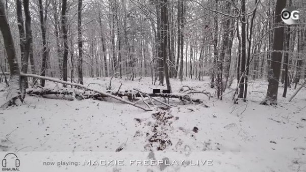 Mackie FreePlay Live - soundcheck (indoor/outdoor)