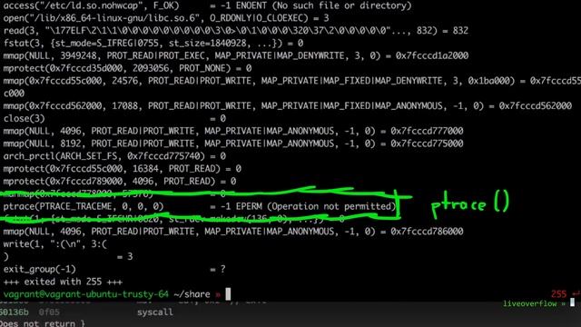 Reverse Engineering with Binary Ninja and gdb a key checking algorithm - TUMCTF 2016 Zwiebel part 1 смотреть онлайн