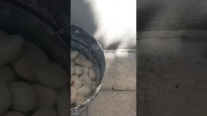 Как отмыть белые камни для сада