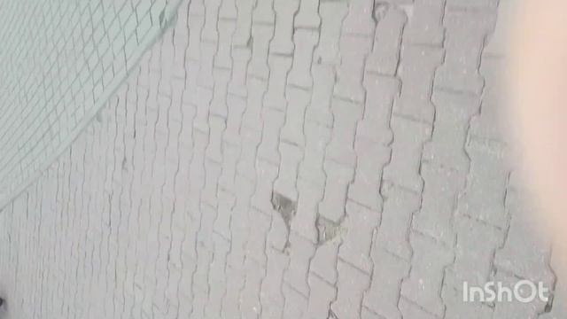Сказочный лес . Хожу в Подольске. смотреть онлайн