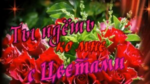 Саша Рычкова - Ты идёшь ко мне с цветами.mp4