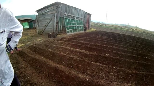 т 40 ам пахота 2022. Фреза. смотреть онлайн