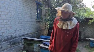 В улье завелась пчела трутовка.  Как спасти семью.