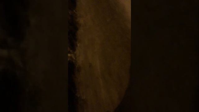 ВОТ ТАК ПРОИСХОДИТ КАЖДЫЙ ДЕНЬ ВЕЧЕРОМ смотреть онлайн