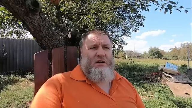 Сами виноваты... смотреть онлайн