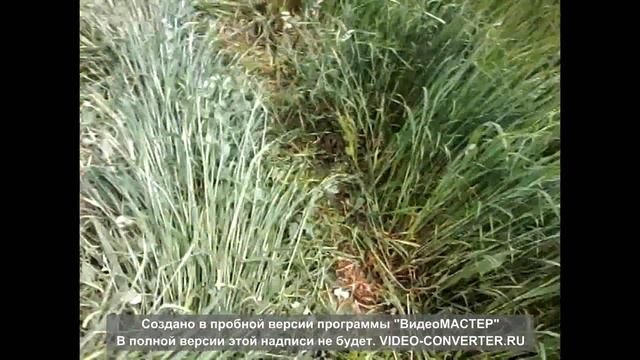 Трактор Т-25 Косилка Ротационная смотреть онлайн