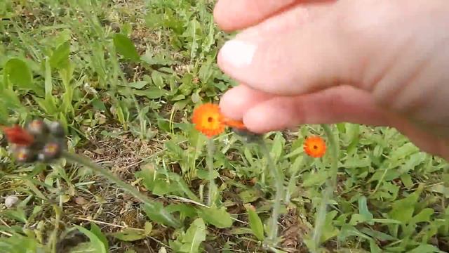 США. СЮДА ЛУЧШЕ НЕ ПОПАДАТЬ, НО ТАКОВА ЖИЗНЬ, КОТОРАЯ К ТОМУ ЖЕ НЕ МОЖЕТ ДЛИТЬСЯ ВЕЧНО... смотреть онлайн