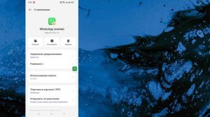 Как исправить проблему с голосовым сообщением WhatsApp (голосовое сообщение WhatsApp)
