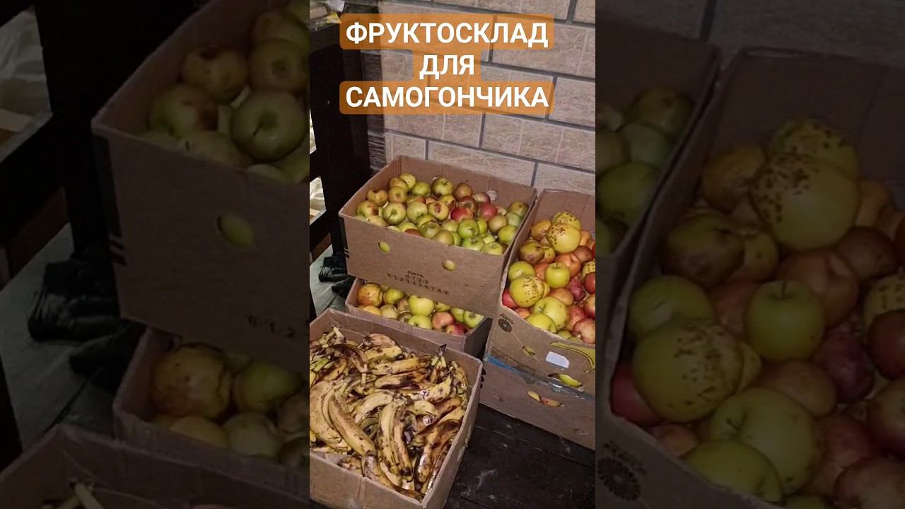 150 кг ФРУКТОВ ДЛЯ САМОГОНА. Фруктосклад для дистиллятов #сливовица #кальвадос #банановыйликер смотреть онлайн