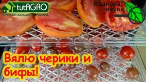 ВЯЛЕНЫЕ ТОМАТЫ. Сушу черри и бифы. Сколько времени вялятся томаты в электросушилке?