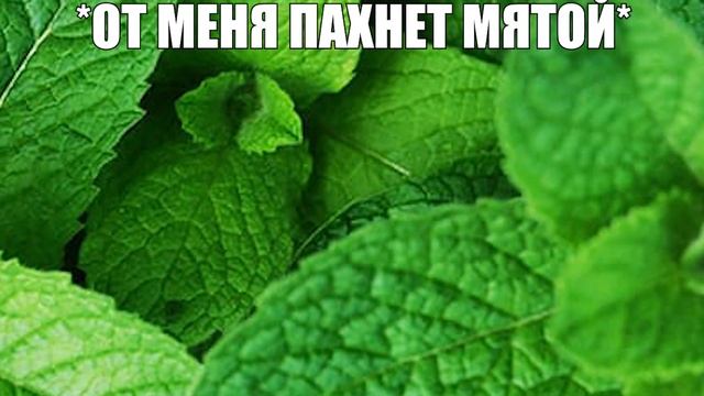 Мне исполняется 18 лет: смотреть онлайн
