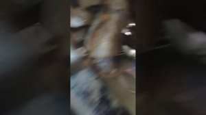 x-trail t31 qr25 cvt замена раздатки (угловой редуктор)