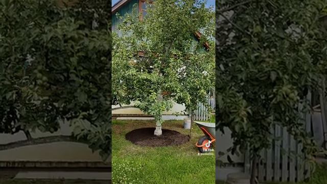 🤔РУКИ#ОТКУДА#НАДО😂 смотреть онлайн