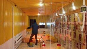 бройлер 1500 шт,выращивание бройлеров,бройлер как бизнес