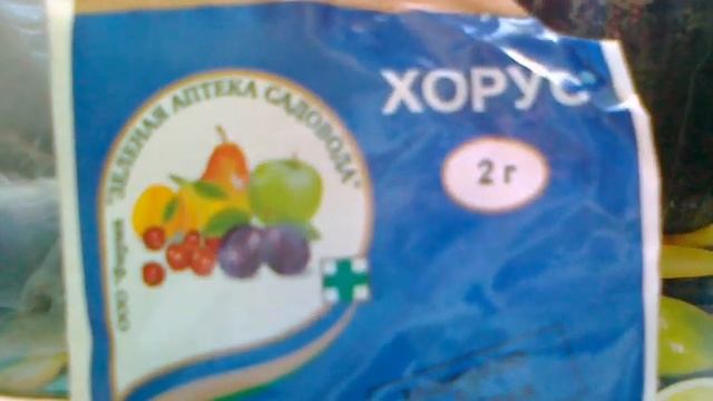 Хорус-препарат для лечения косточковых культур смотреть онлайн