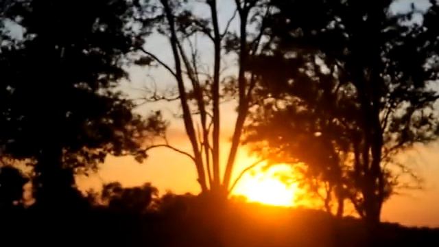 Медовый месяц^^ смотреть онлайн