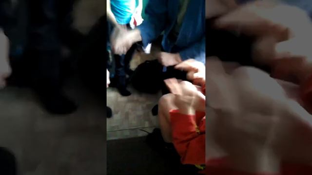 Как профи играют в чичико смотреть онлайн