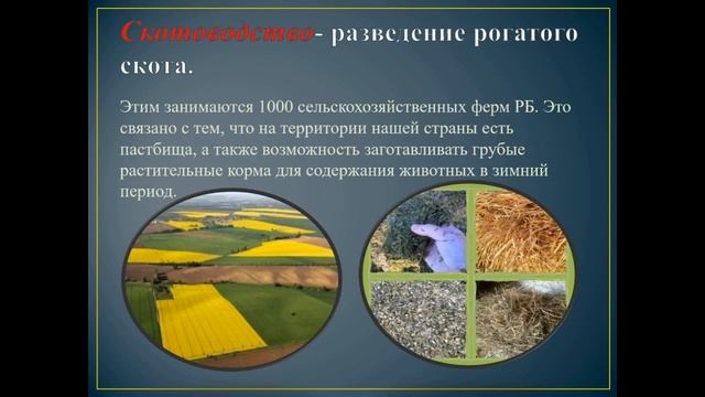 8 класс. Биология. Сельскохозяйственные животные смотреть онлайн