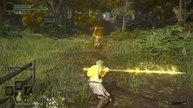 The Sacred Ashes Of War on The TWINBLADE Looks Amazing! (Elden Ring) смотреть онлайн