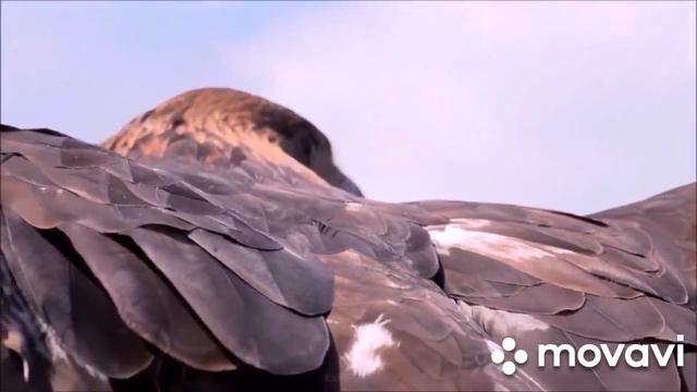 Евгений Путилов - Бархат алых роз New hits 2021 смотреть онлайн