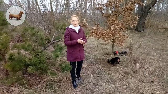 ? ? ? ^ ЧТО ЛУЧШЕ ОДНОЙ ТАКСЫ? ТОЛЬКО ТРИ ТАКСЫ! смотреть онлайн