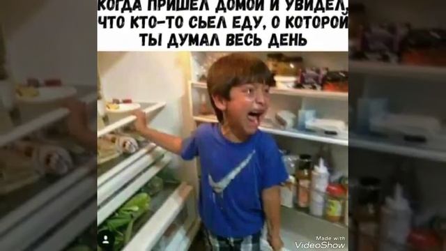 Самые смешные картинки смотреть онлайн