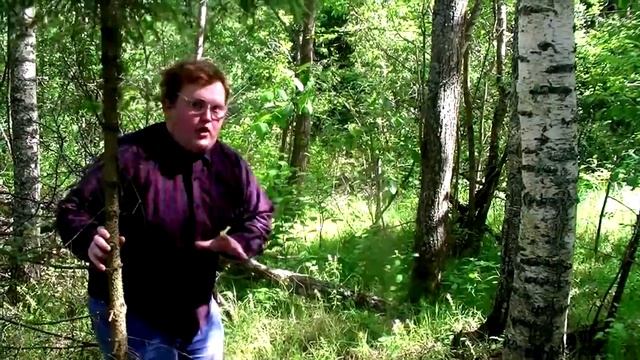 Своими руками   ВЫЖИВАЕМ В ЛЕСУ