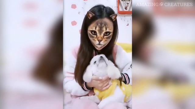 РЕАКЦИЯ СОБАК И КОШЕК Когда Они Видят ФИЛЬТР КОТА на Лице Хозяина смотреть онлайн