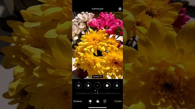 Как я обрабатываю фото в Инстаграм. Очень ПРОСТО ЛЕГКО И ЯРКО смотреть онлайн