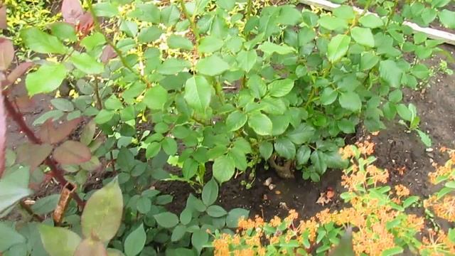 Строительные Материалы