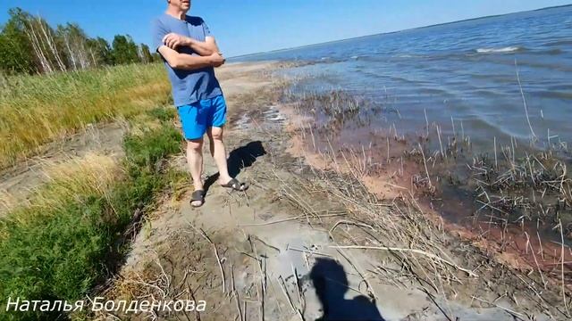 Ищем траву-целитель. смотреть онлайн