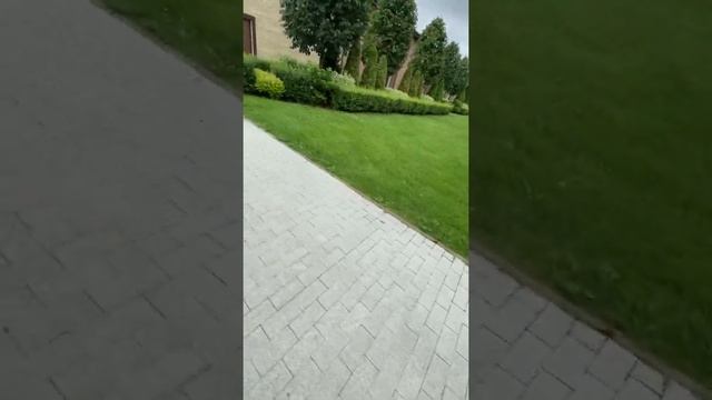 Хожу по даче чеееееек смотреть онлайн