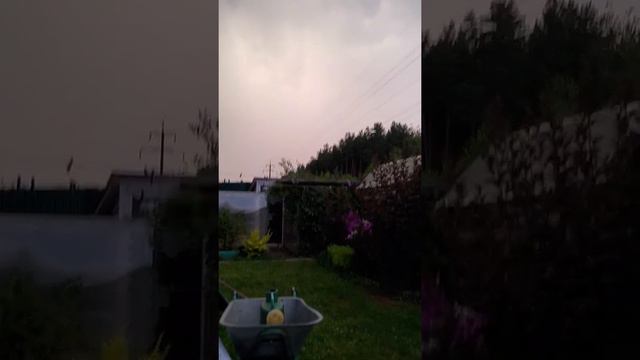 я люблю природу смотреть онлайн