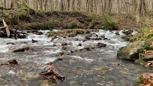 Красная поляна. Горная река . 4k #река #сочисегодня #сочи смотреть онлайн