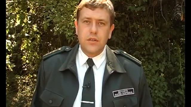 Торопова дача - зона отдыха. смотреть онлайн