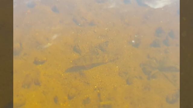 Марлин 330 + 8лс смотреть онлайн