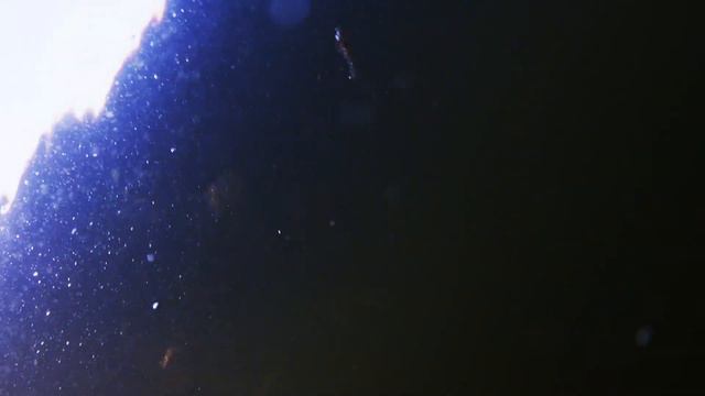 Carp spearfishing смотреть онлайн