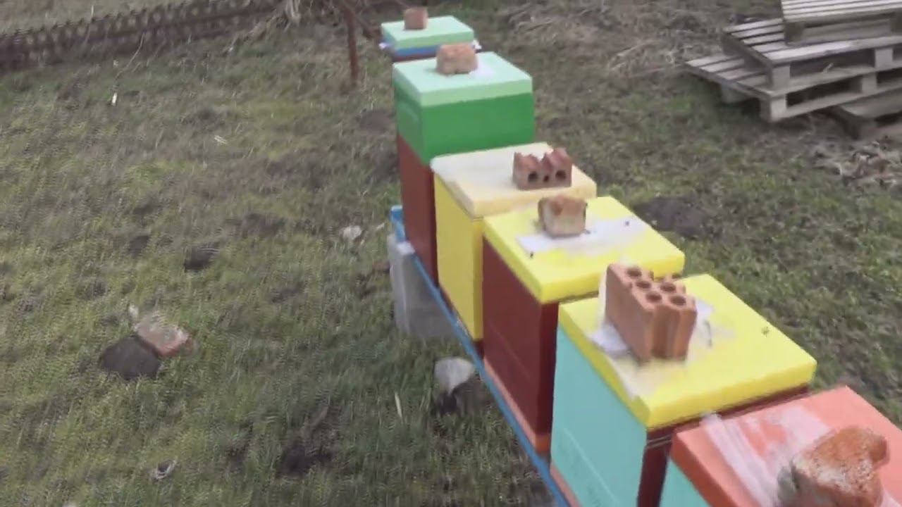 ЗИМОВКА МИНИПЛЮС ЧТО ВЫШЛО,,,,, смотреть онлайн