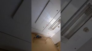 Поезд 259 СПб-Анапа. Обзор купе. Вагон номер 5.