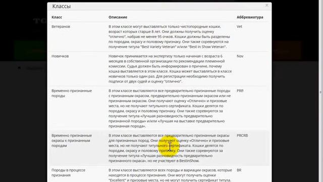 TopCat. Справка. Выставка. Подача заявок. смотреть онлайн