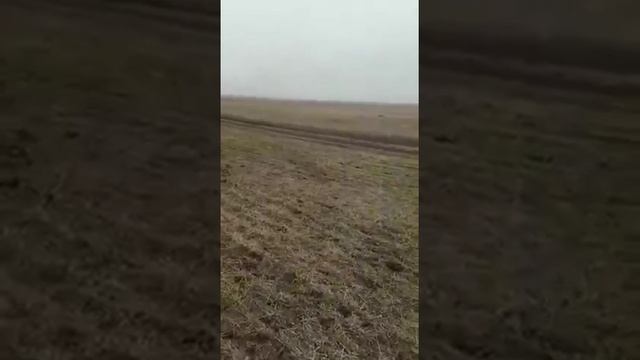 Чудо трактор МТЗ смотреть онлайн