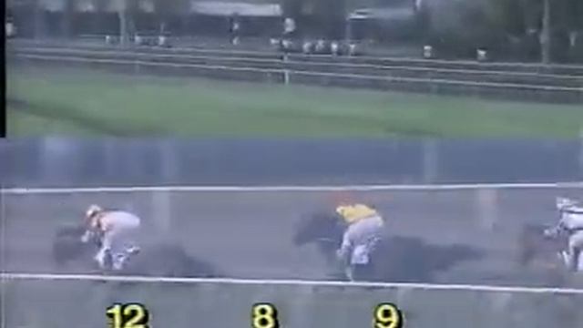 GRAN DUCATO GP 1995 смотреть онлайн