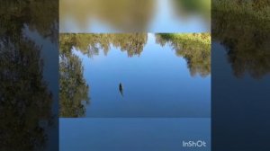 Рыбалка на речке Цна. Увлекательно, живо, с уловом!