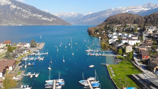 «Я домой любовниц вожу, а жена-клуша не догадывается»-рассказал мужчина своим друзьям, но позже он смотреть онлайн