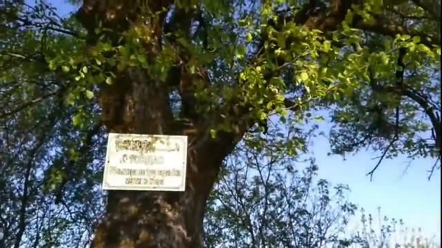 Ноев Ковчег в приделах Кавказского Хребта расположил горные местности и Верхний Центарой 1 Май 2018 смотреть онлайн